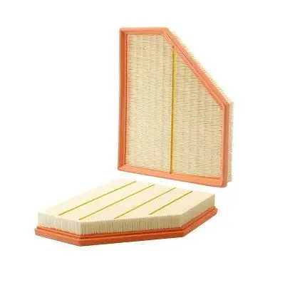 Air Filter Prime Guard Paf9238 1