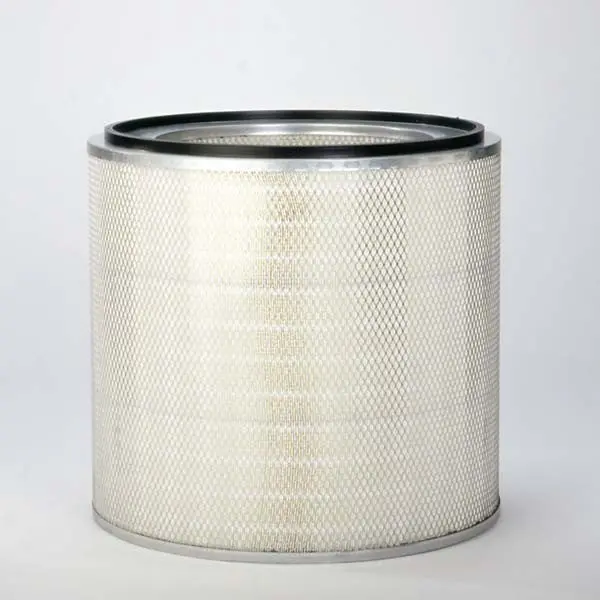 Donaldson Air Filter - P603857 1
