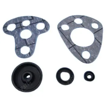 Revisie Set Remservo Rover P5b 1