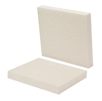 Wix Wp10080 Cabin Air Panel, Pack Of 1 1