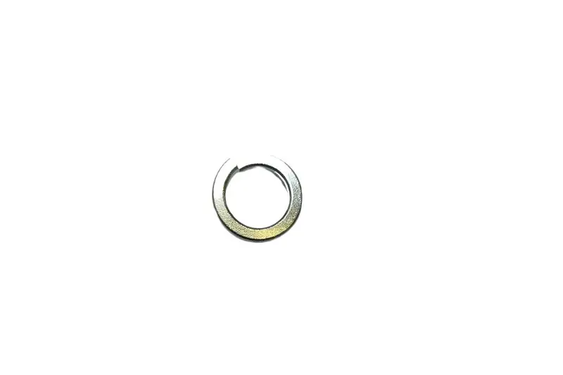 Wm600051 Sump Bolt Spring Washer 1